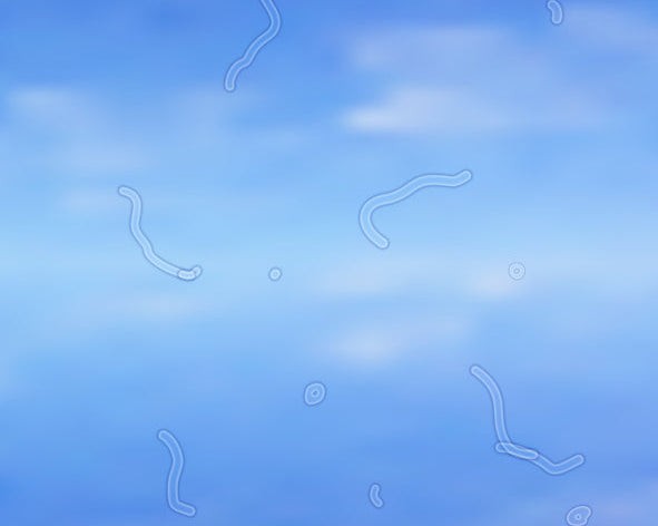 floaters