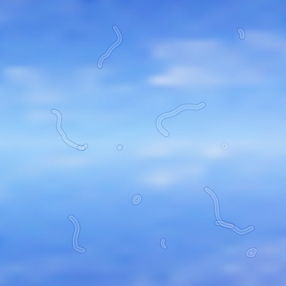 floaters