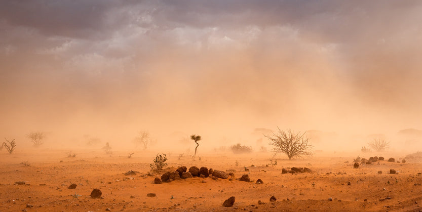 dry land