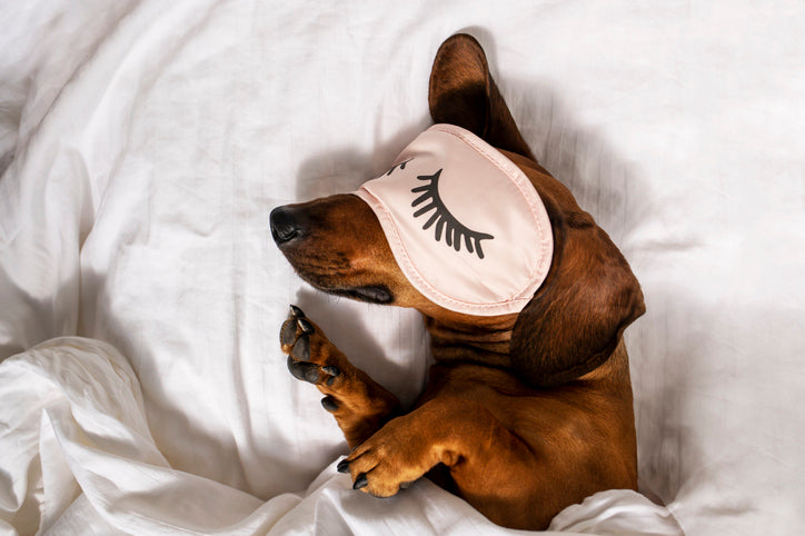 dog eye mask