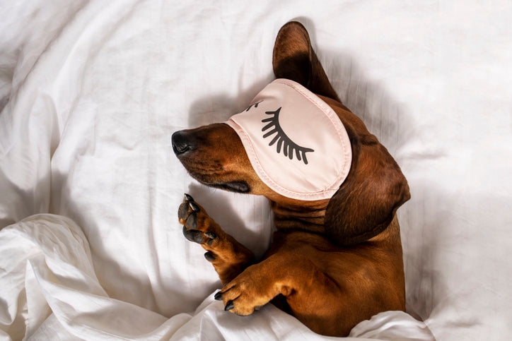 dog eye mask