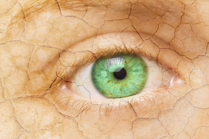Eyes