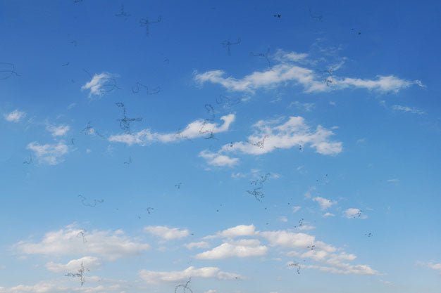 Eye Floaters: Causes, Treatments & Prevention | Complete Guide – Wizard Heated Eye Mask Blog