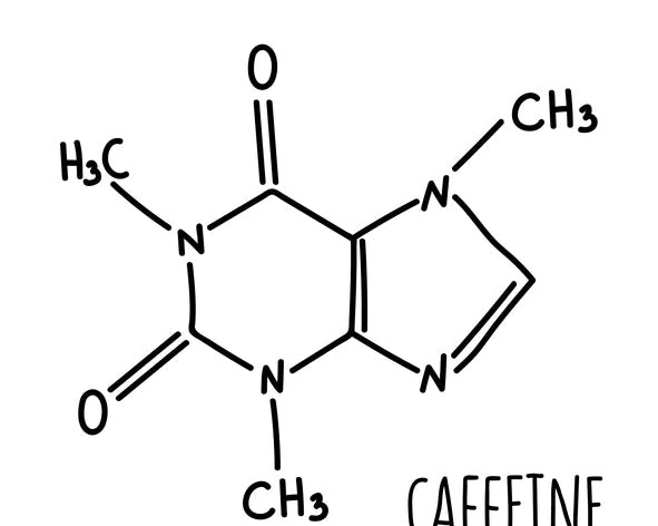 What Are the Types of Food to Eat to Help Relieve Dry Eyes – Wizard Heated Eye Mask Blog